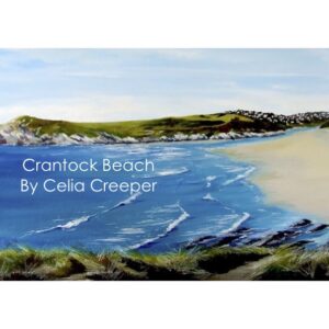 Crantock Beach (4)