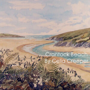 Crantock Beach (Picture no.6)