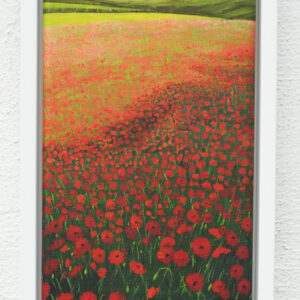 Cubert Common down to Polly Joke Poppies