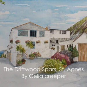 The Driftwood Spars (2)