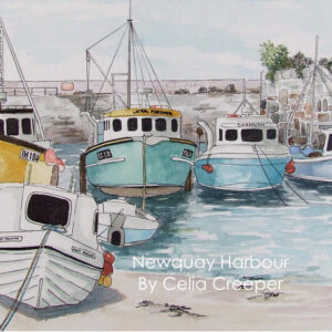 Newquay Harbour