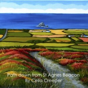 Path down from St Agnes Beacon