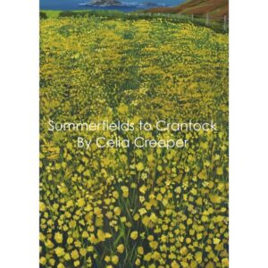 Summer fields to Crantock Bay