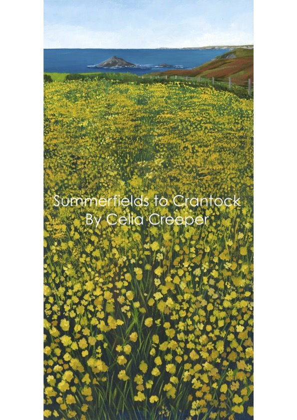 Summer fields to Crantock Bay