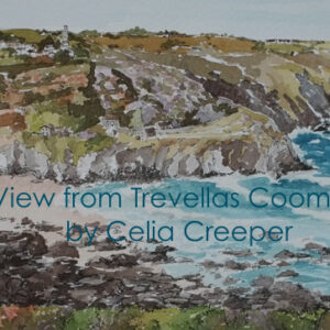 View from Trevellas Coombe