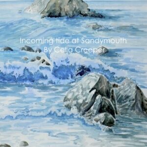 Incoming tide at Sandymouth